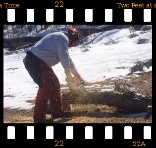 woodmaster-cutting-time Let the sawdust fly!